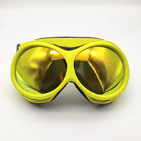 Lunettes de ski anti-buée double couche coupe-vent pour enfants et adolescents RD-73011 avec lentilles optiques polarisées
