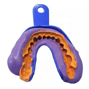 Dental Putty Impression Silicone Material Heavy Body Light Body Kit With Dental Tray And Mixing Tips