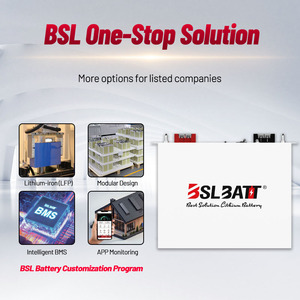 <span class=keywords><strong>BSLBATT</strong></span> personalizado larga duración 24v 100ah montado en rack Lifepo4 batería 2.56kwh batería de litio para almacenamiento de energía - Product Image 3