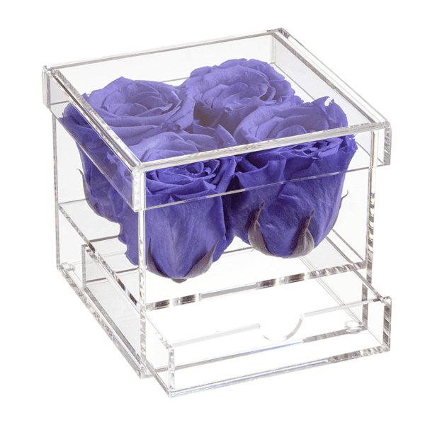 4 roses: pourpre