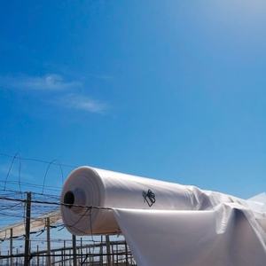 Película de Plástico para Invernadero de PE Resistente a los Rayos UV de 150-200 Micras para Cultivos Agrícolas |   Coextrusión de 3 Capas, Venta al por Mayor de Fábrica - Product Image 1