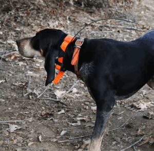 Antena de 57 cm para Collar de Rastreo GPS para Perros, Compatible con Garmin T5, TT10, TT15, T5Mini, DC30, DC40, DC50, Astro 220, 320, 430, Alpha 100, 50 - Product Image 2