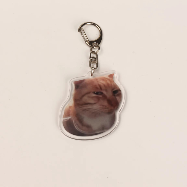 Custom Cat Anime Cartoon Themed Acrylic Keychain UV Printing Light Weight Waterproof Design-Unique Digital Photo Keyring