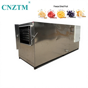 Machine de lyophilisation industrielle automatique en acier inoxydable 304, équipement de déshydratation sous vide haute efficacité pour fruits (pommes) - Product Image 1