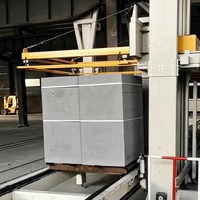 Système de cerclage personnalisé pour briques de ciment durables, équipement fiable de regroupement avec bande PET