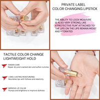 Etiqueta privada Clear Crystal Lips Care Magic Lipstick Tinte de larga duración Bálsamo labial Hidratante Lápiz labial que cambia de color