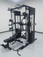 DINUO – Cage de musculation intégrée tout-en-un, directement de l'usine, pour entraînement complet du corps à domicile ou en studio