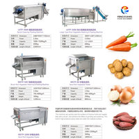 FENGXIANG Multi-Roller Borstels Groente- en Fruitwas- en Schilmachine SUS304 Materiaal 300-500KG/H Capaciteit Rechtstreeks van de Fabriek