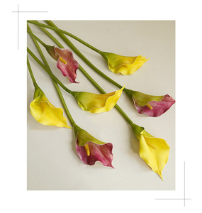 Calla Lily de haute qualité en gros, aspect naturel, toucher réaliste, PU, échantillon gratuit pour la décoration de mariage, fleur artificielle Calla Lily - Product Image 5