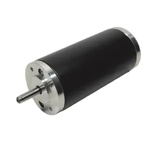 52zyt Series 24V 48V 52mm Brushed Electric Dc Motor