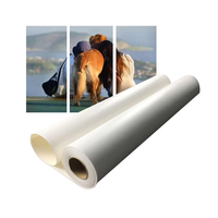 Rouleau de coton 390gsm Toile satinée artistique pour Canon PRO 4000S