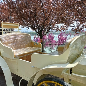 Caleches Turísticas Eléctricas de Estilo Europeo, Carros de Caballos para Turismo, Carrozas Victoria para Recorridos Turísticos - Product Image 5