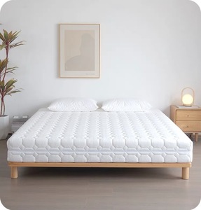 Nhà hoàn toàn có thể tháo rời CuộN đóng gói nén Nệm Internet người nổi tiếng có thể giặt và thoáng khí mùa xuân cao su tự nhiên - Product Image 1