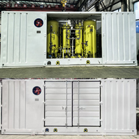 Générateur d'azote PSA entièrement automatique 70 Nm/h en acier inoxydable 304/316, pureté 97-99,999 %, avec compresseur d'air intégré