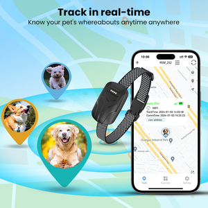 Biểu tượng tùy chỉnh 4G <span class=keywords><strong>GPS</strong></span> <span class=keywords><strong>Tracker</strong></span> vật nuôi <span class=keywords><strong>Tracker</strong></span> Mini <span class=keywords><strong>GPS</strong></span> Dog <span class=keywords><strong>Tracker</strong></span> cổ áo <span class=keywords><strong>GPS</strong></span> Thiết bị theo dõi - Product Image 3