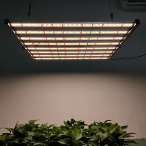 Hishine LED Pflanze wachsen Licht 6400k LED wachsen Licht für zu Hause Hobbyist Anbau Bestseller LED wachsen Lichter