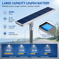 Farola LED Solar DC con Certificación IP66, CCC, CE y RoHS, Batería Lifepo4, Aluminio, Garantía de 5 Años, Montaje en Pared para Carreteras, Regulable, 120