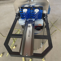 Goede prijs, snelle, volautomatische suikerriet schil- en snijmachine, motor, roestvrijstalen behuizing, 220V, efficiënt voor fruit en groenten