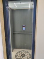 Ascensore Residenziale Senza Vano per 2-6 Piani, Personalizzabile, Piccolo Elevatore Domestico da 400kg per Interni