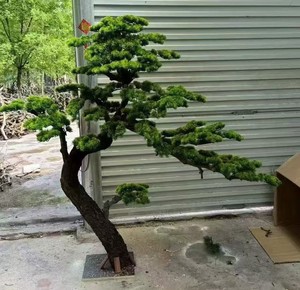 Plantes artificielles personnalisées <span class=keywords><strong>de</strong></span> 200 cm à 300 cm <span class=keywords><strong>de</strong></span> hauteur, grand arbre artificiel, plante d'intérieur décorative, pin vert, bonsaï - Product Image 4
