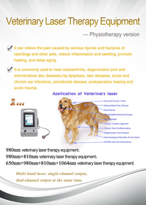 Animais profissionais Cavalos 980NM 915NM 810NM Veterinária Fisioterapia Máquina Terapia Instrumento para Pain Relief Skin <span class=keywords><strong>Disease</strong></span> - Product Image 2