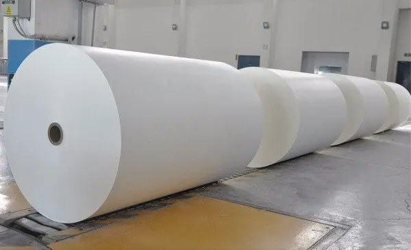 High quality pe coated paper large roll environmentally friendly release paper