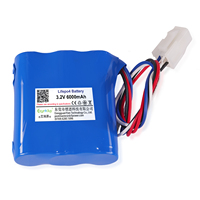 Batterie LiFePO4 3,2 V 6000 mAh 19,2 Wh en tandem avec BMS pour appareils portables/IoT, personnalisable OEM/ODM, durée de vie 3000 cycles