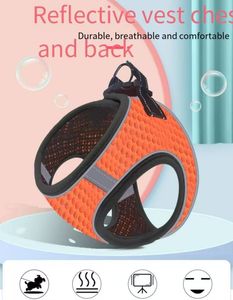 클래식 스타일 반사 고양이 하네스 가죽 끈 세트 내구성 통기성 나일론 메쉬 패브릭 부드러운 개인화 된 야외 워킹 페팅 - Product Image 2