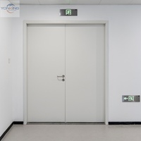 Porte coupe-feu en acier Yonking au design moderne, conforme aux normes UL, pour passage à fort trafic en milieu hospitalier