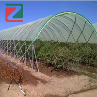 Serre en film multi-travées avec poteaux en Y pour la protection contre la pluie des fraises et des bleuets
