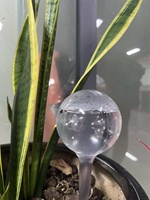 Deepbang gros auto arrosage ampoules arc-en-ciel grands stocks auto plante arrosage globes