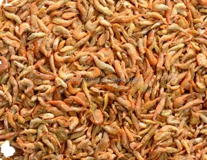 Organic natural nutrition Freeze dried red shrimp for pet fish