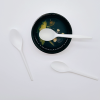 Ensemble de couverts CPLA pour usage commercial, biodégradable, compostable, écologique, cuillère, fourchette, couteau