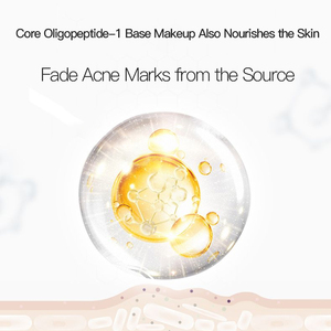 Oligopeptide Repair <span class=keywords><strong>Concealer</strong></span> איפור קונסילר נוזלי איפור קונסילר רך לכיסוי גבוה לעור אקנה רגיש - Product Image 3