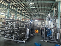Turnkey oplossing tomatenpureemachine, automatische tomatenpuree-maakmachines, kleine tomatenpuree-verwerkingsinstallatie te koop