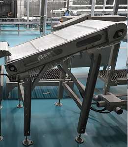 Ligne de convoyage durable en acier inoxydable et plastique pour l'abattage de la viande, avec vitesse réglable, pour applications dans l'industrie alimentaire - Product Image 2