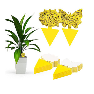 กับดักแมลงแบบเหนียวสีเหลือง ใช้ได้ทั้งในบ้านและสวน สำหรับดักแมลงวันผลไม้และตัวต่อ  ปลอดสารพิษ ใช้งานได้ดี ขายส่ง - Product Image 1