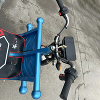 1000W Trois Roues Trike ATV Adulte 3 Roues Scooter Électrique avec Corps Ouvert 60V Tension