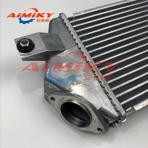 Refroidisseur intermédiaire, pour Mitsubishi Triton L200 MN135001 - Product Image 6