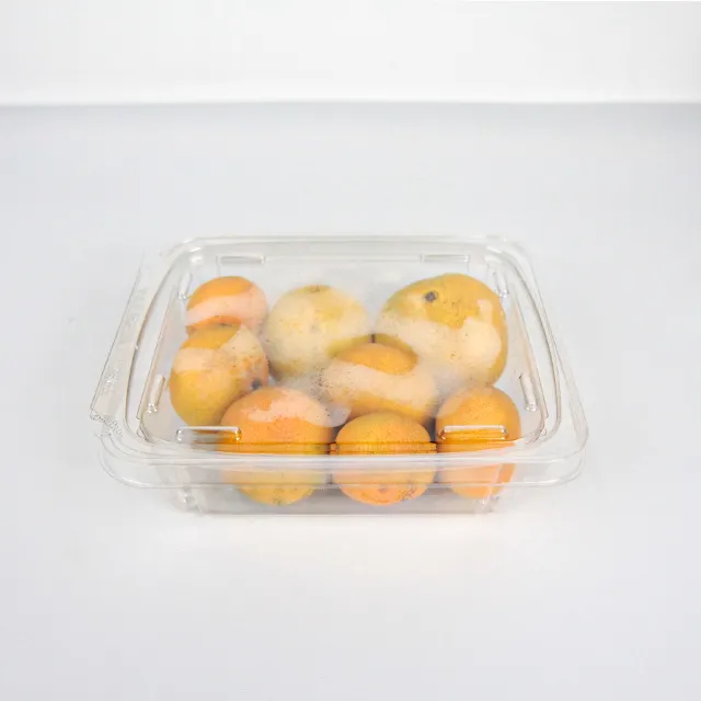 Carry Cake Dessert Small Sandwich Plastic To Go Containers Hinged Clamshell Food Boxes compartment food containers