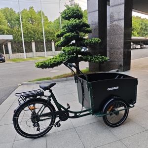 Vélo cargo électrique pour transporter des marchandises pour enfants Animaux <span class=keywords><strong>de</strong></span> compagnie pour faire la navette Pique-nique Shopping Améliorer la relation entre les membres <span class=keywords><strong>de</strong></span> la famille - Product Image 4