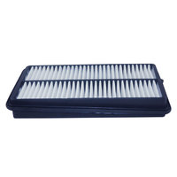 Filtre à air SAP096N de vente directe d'usine CA-C904P pour Hafei Lifan JAC Hyundai Elantra Nobel Changan Nio Li Auto Cherry
