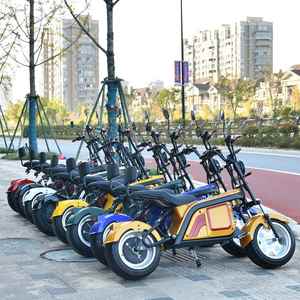 <span class=keywords><strong>Moto</strong></span> électrique chinoise 1500W pour adulte Super Motos électrique - Product Image 6