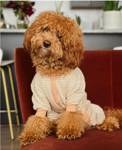 Qiqu Pet Supplies Custom New Designer abbigliamento felpe con cappuccio in cotone abbinate umane Best Friend Dogs Gift for Italian greyhound whippet - Product Image 5