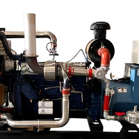 Groupe électrogène industriel EPA 150 kW à gaz (syngaz, gaz naturel, GPL, biogaz) et granulés, alimentation CC, 95 % d'efficacité