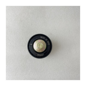 Piezas de Automóvil, Soporte para Ventilador, Polea Tensora 4936437 - Product Image 2