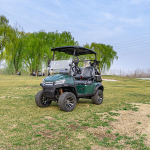 Voiturette de golf avec porte-bagages arrière et porte-gobelets, aménagement efficace, grande praticité pour les terrains de golf - Product Image 2