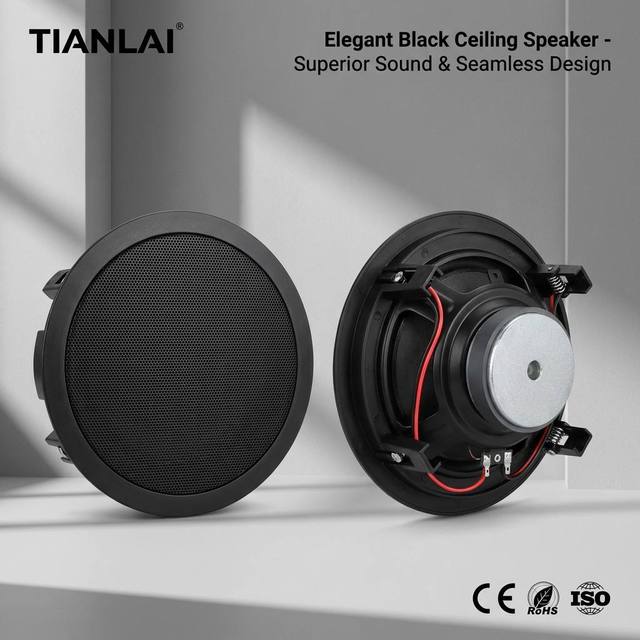 Tianlai 601A Trending New Products Small Round Ceiling Speaker System for Home Black Cover Cheap Speakers