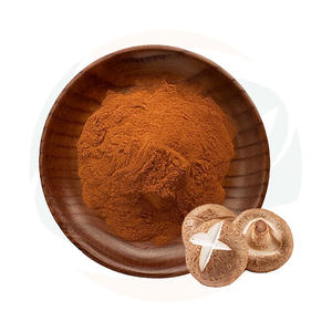 Poudre d'extrait de champignon Shiitake de qualité supérieure, fournie par China-Herb Supply |   Ingrédient naturel du genre Lentinus Edodes <span class=keywords><strong>pour</strong></span> <span class=keywords><strong>les</strong></span> formules de santé - Product Image 1