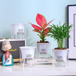 Maceta hidropónica transparente de plástico con absorción automática de agua para plantas verdes de escritorio, jardinería en casa - Product Image 4